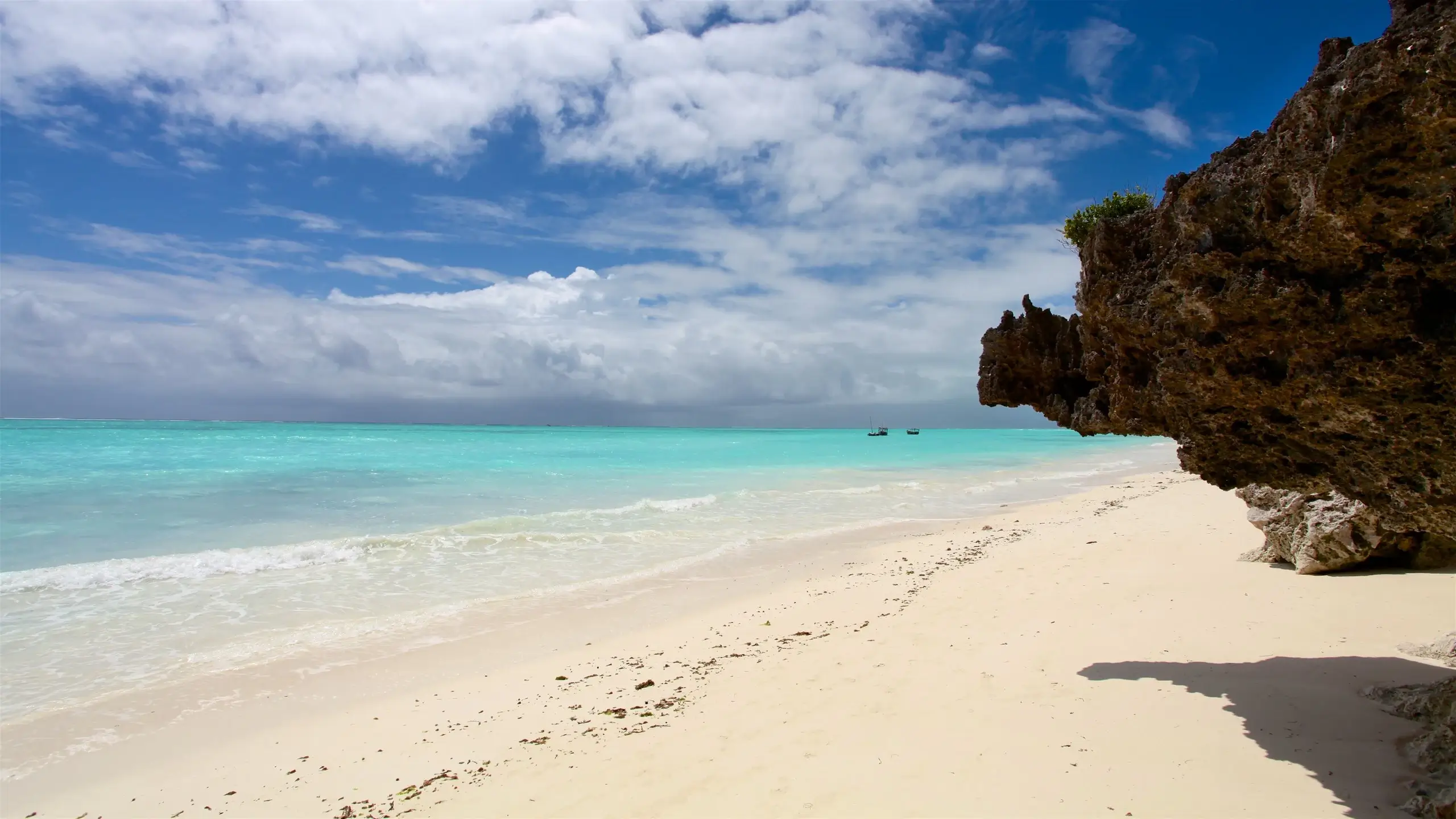 Zanzibar Beach